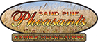 Sand Pine Pheasants